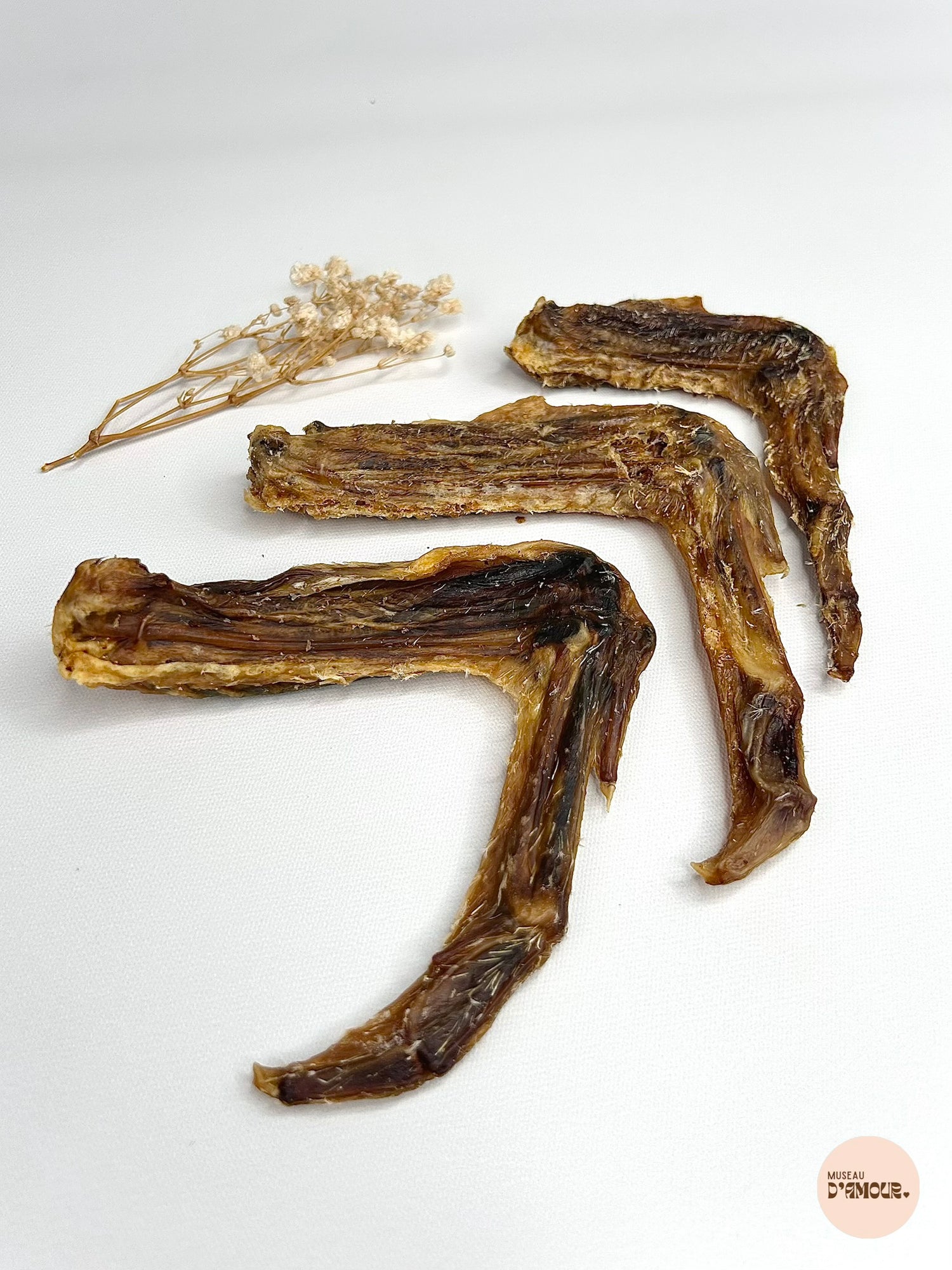 Duck wing