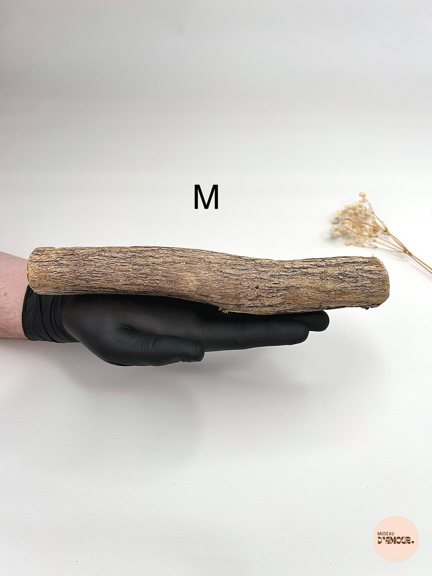 Bois de Sekelbos