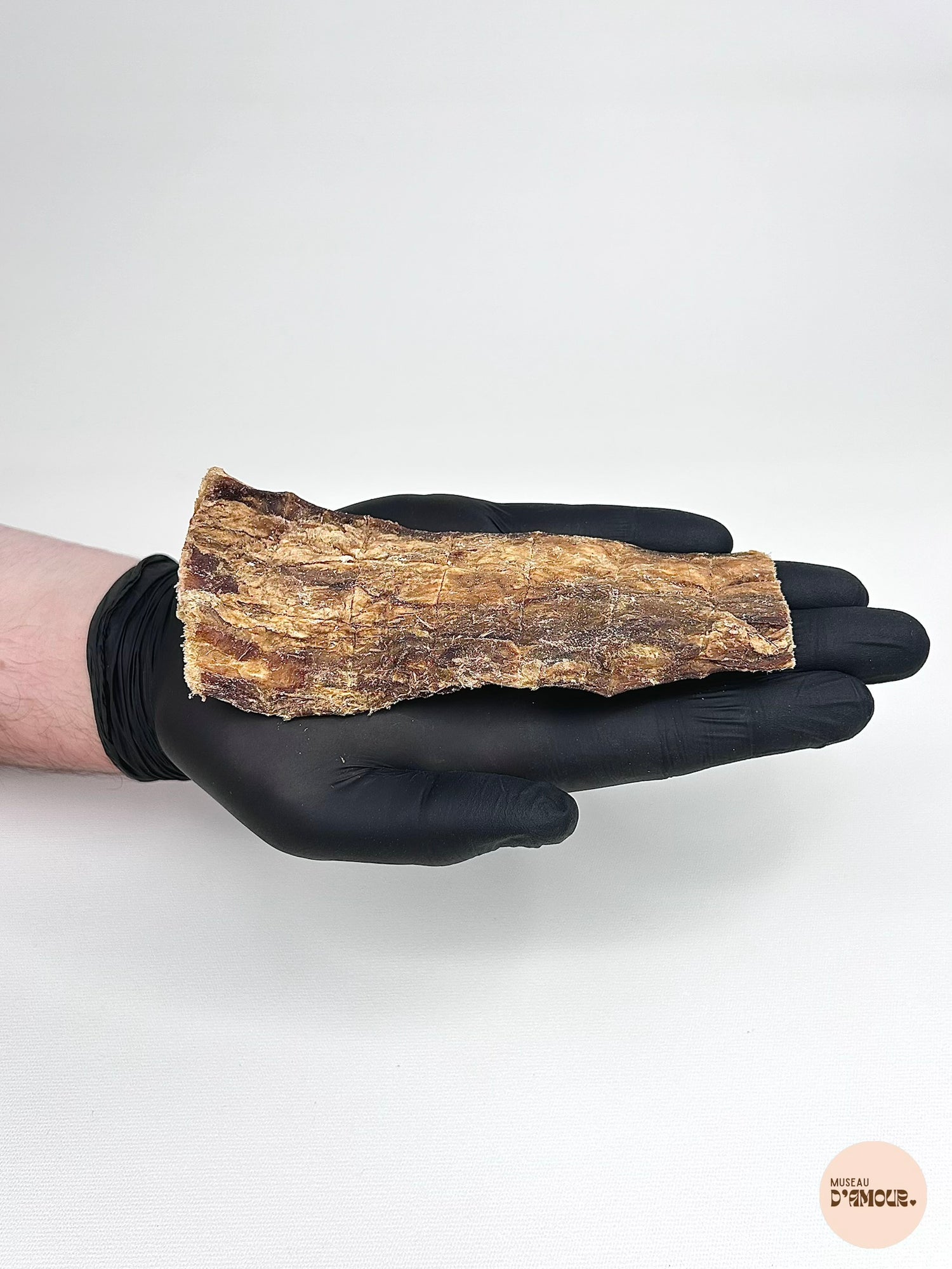 Oesophage de chameau
