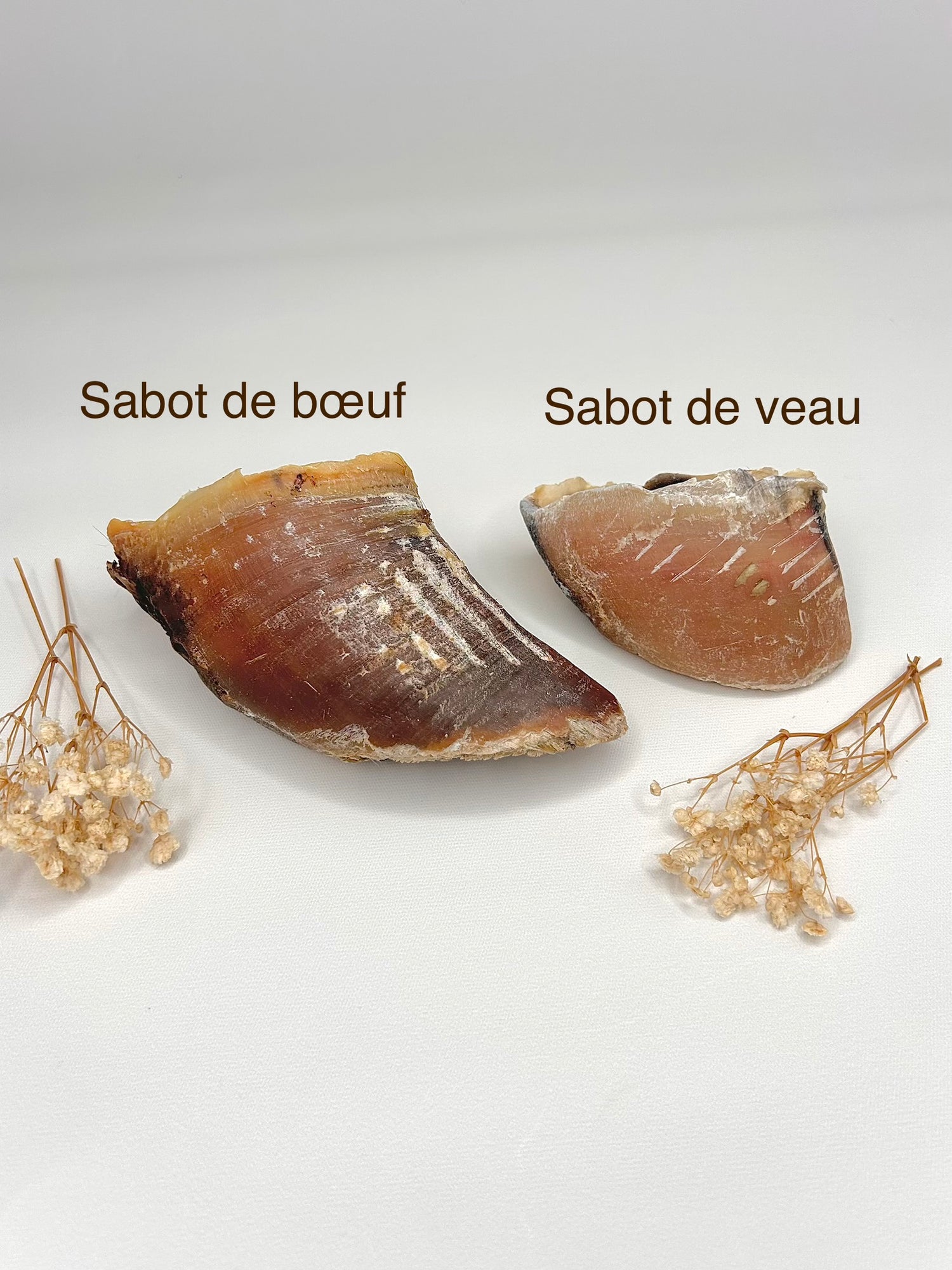 Sabot de veau