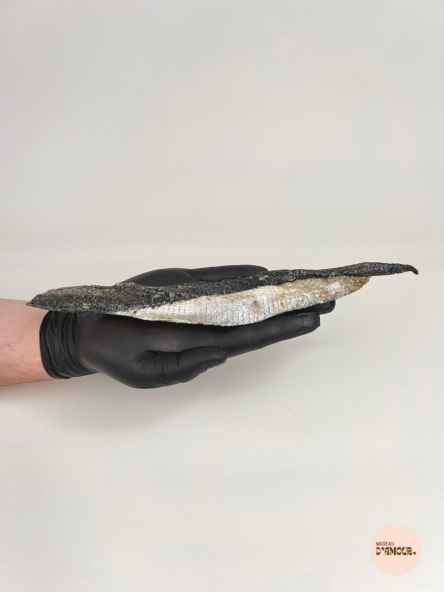 Salmon skin