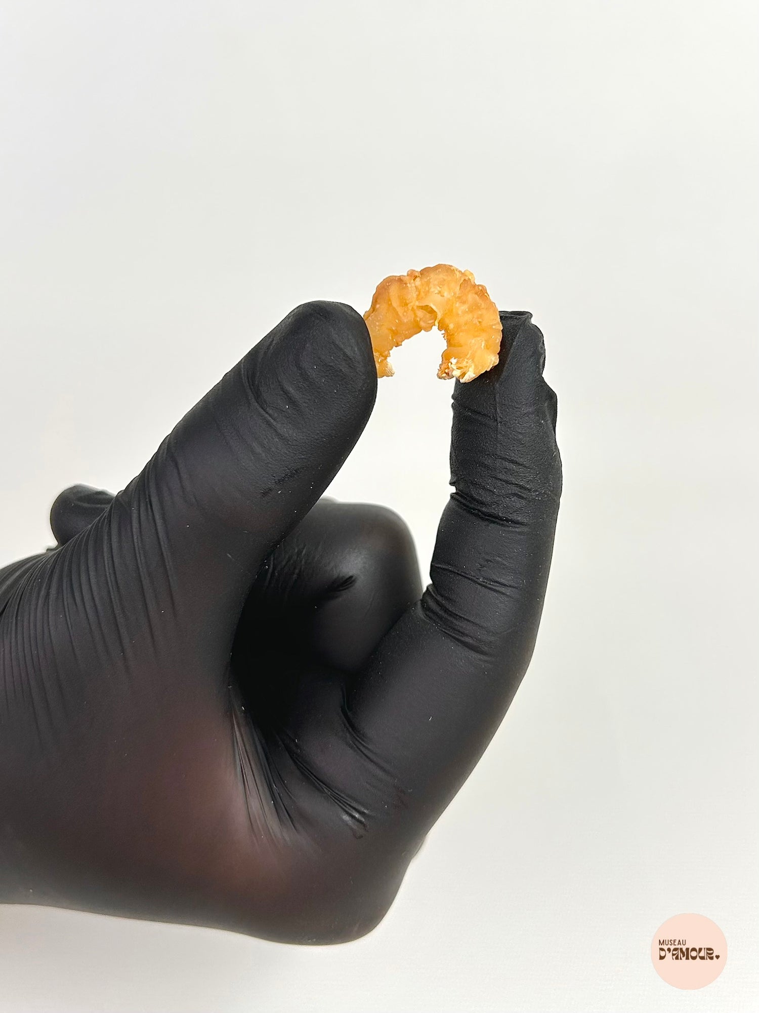 Mini crevette
