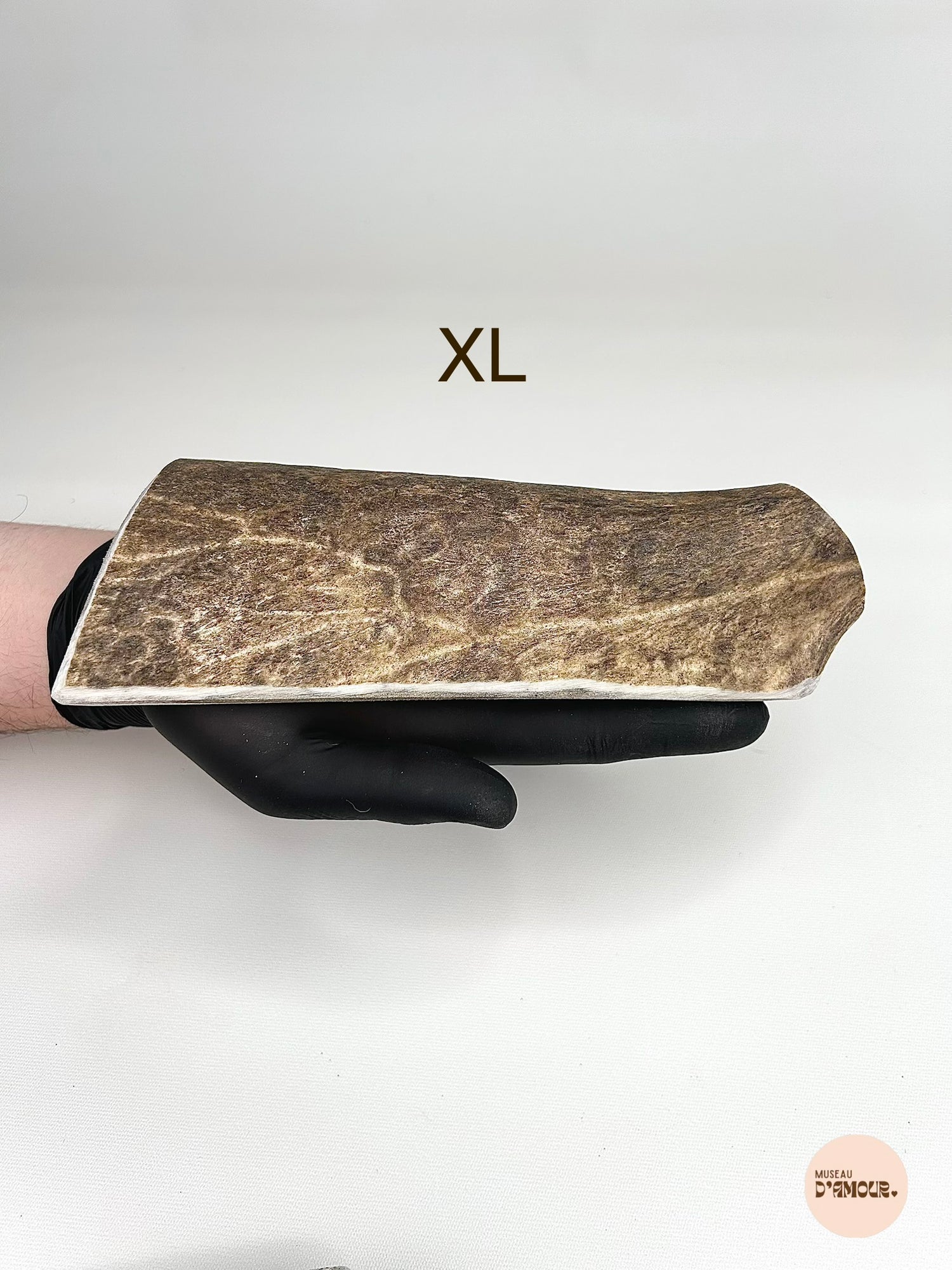 Deer antler