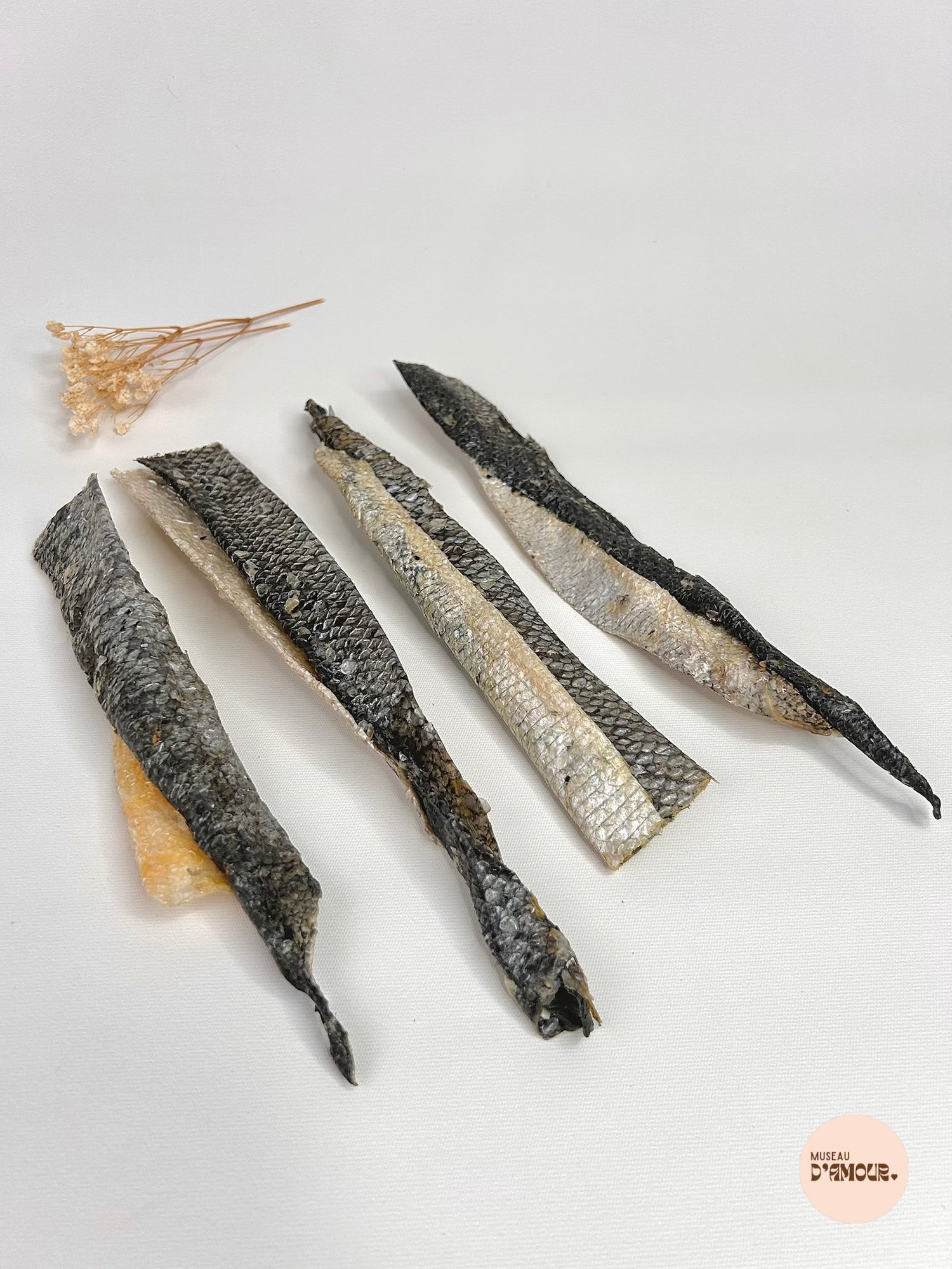 Salmon skin