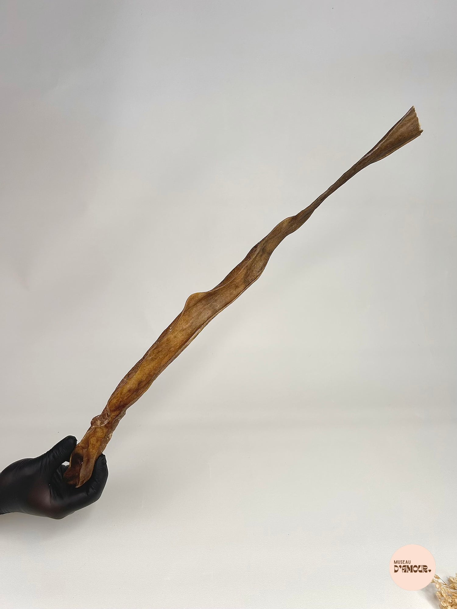 Peau de chevreuil 50-70cm
