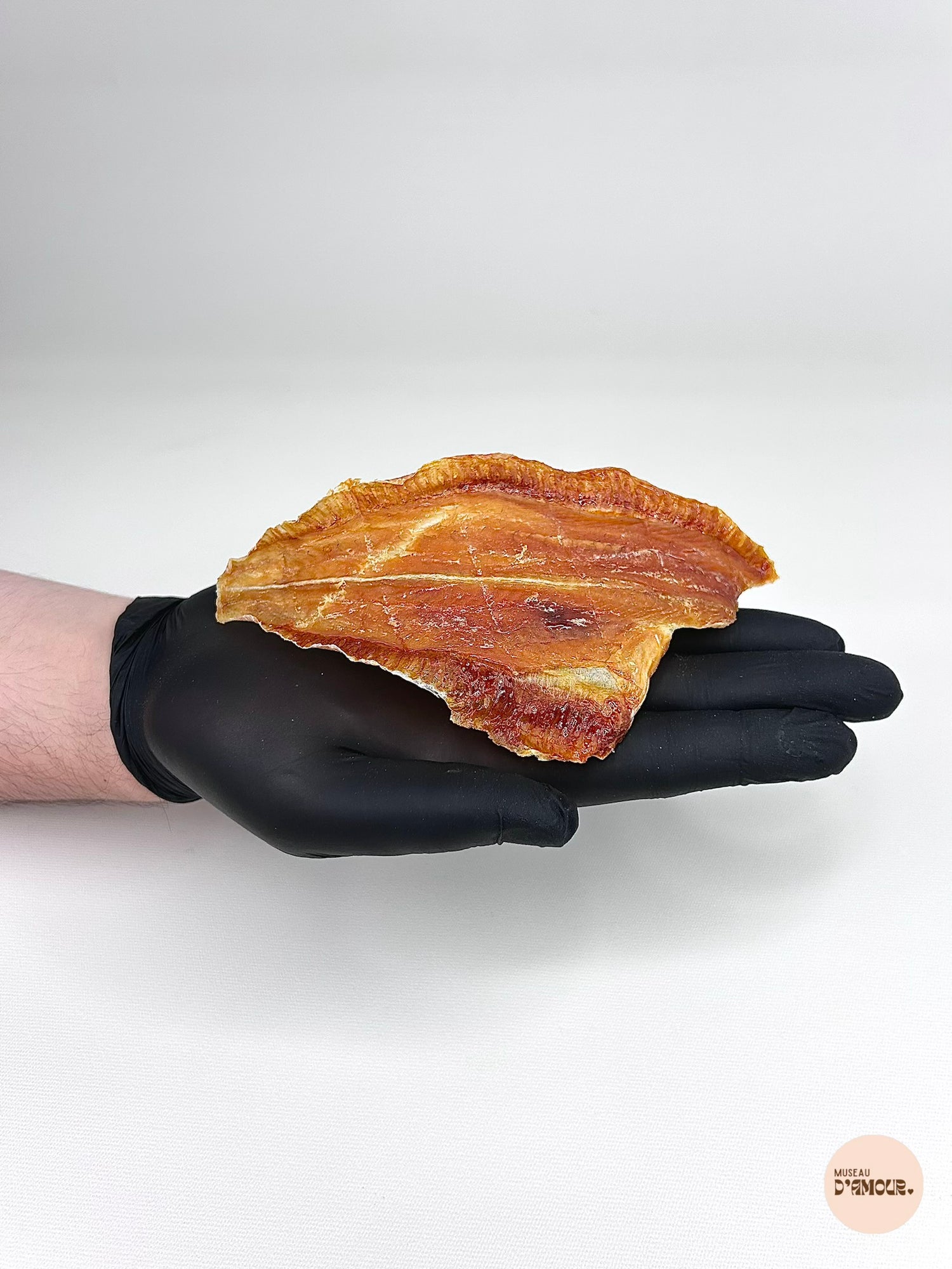 Filet de sole