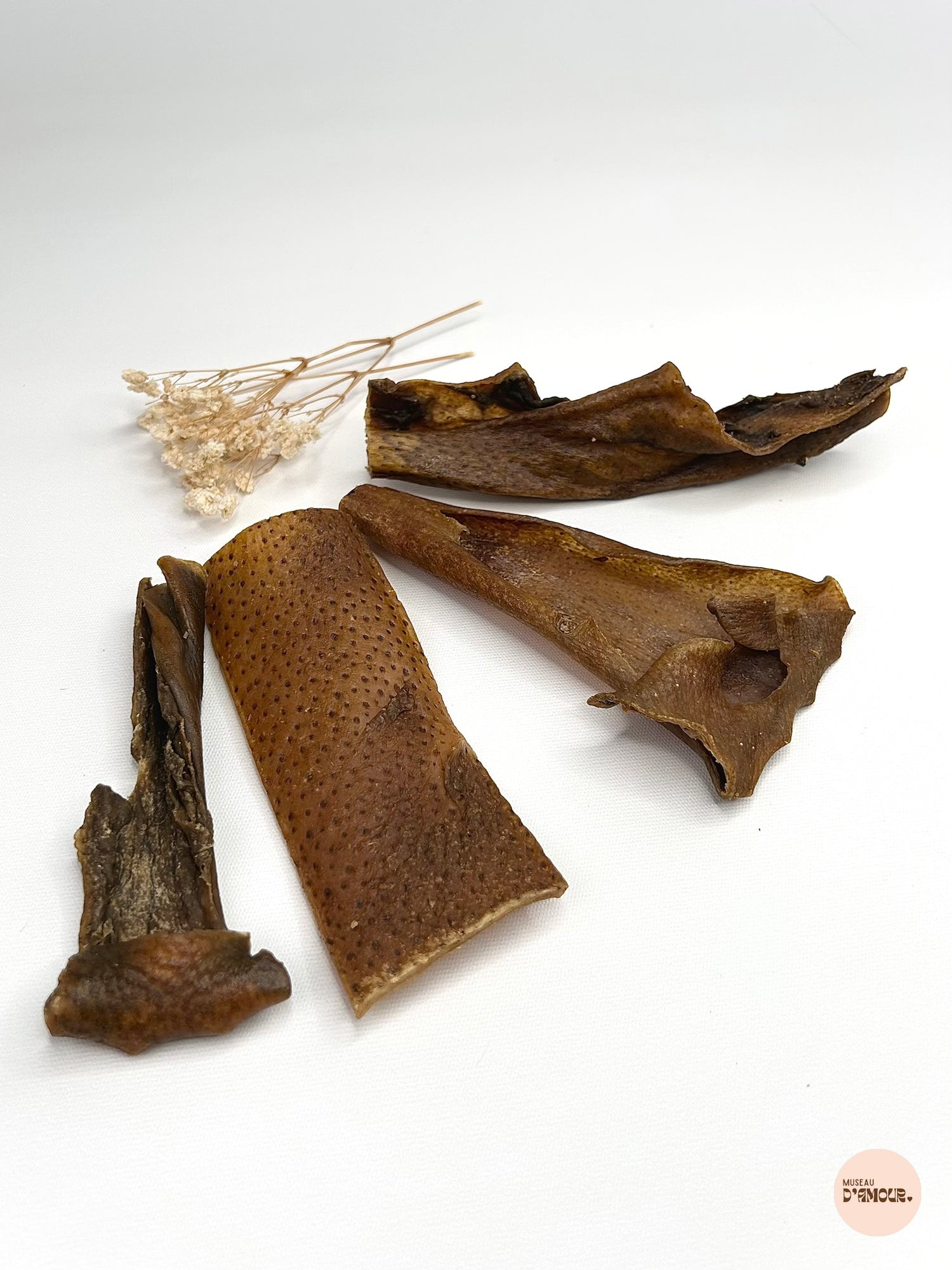 Peau de sanglier
