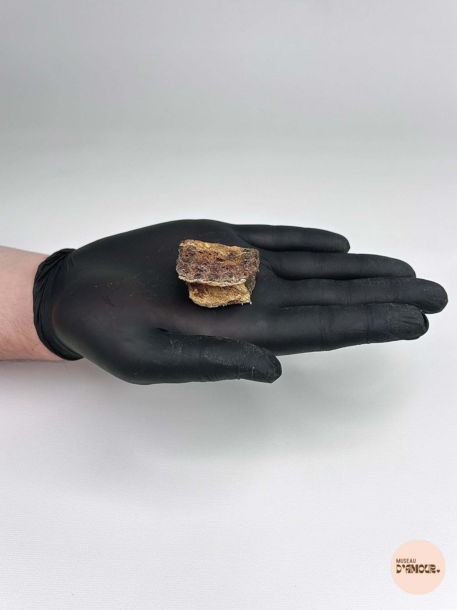 Foie de renne