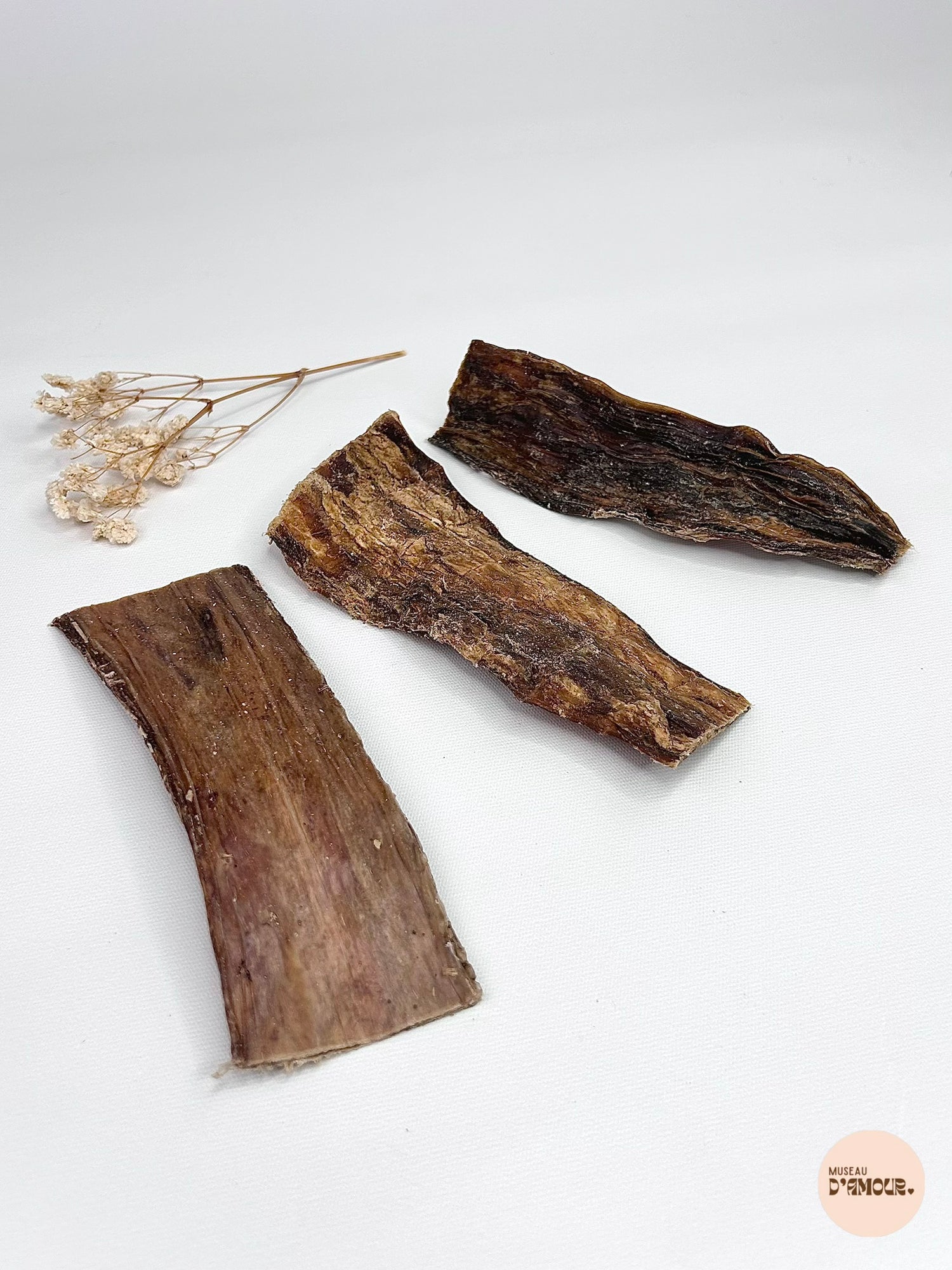 Oesophage de chameau