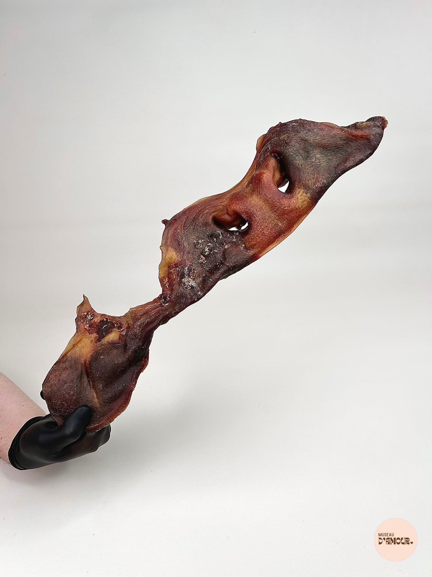 Museau de bœuf XXL