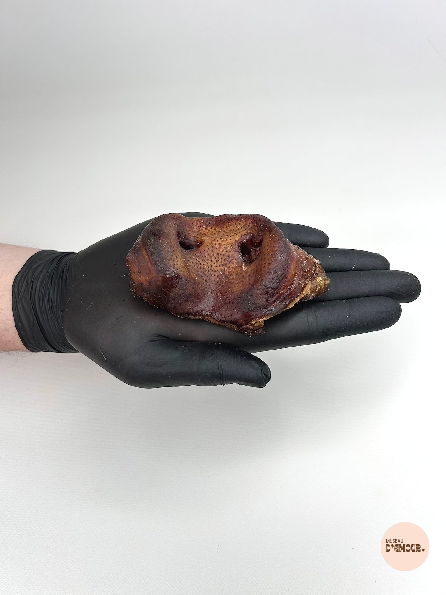 Groin de porc
