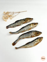 Herring