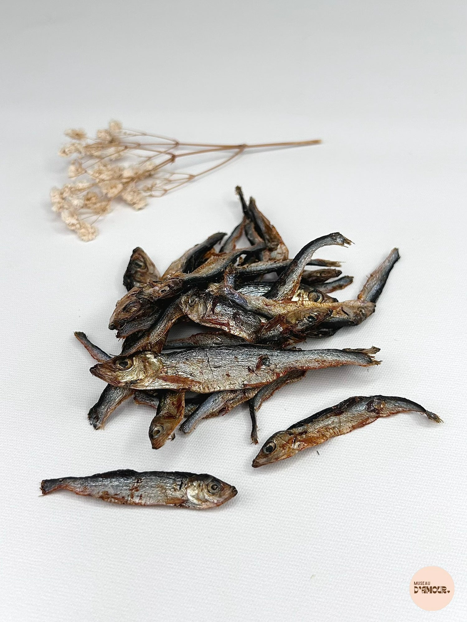 Sprat