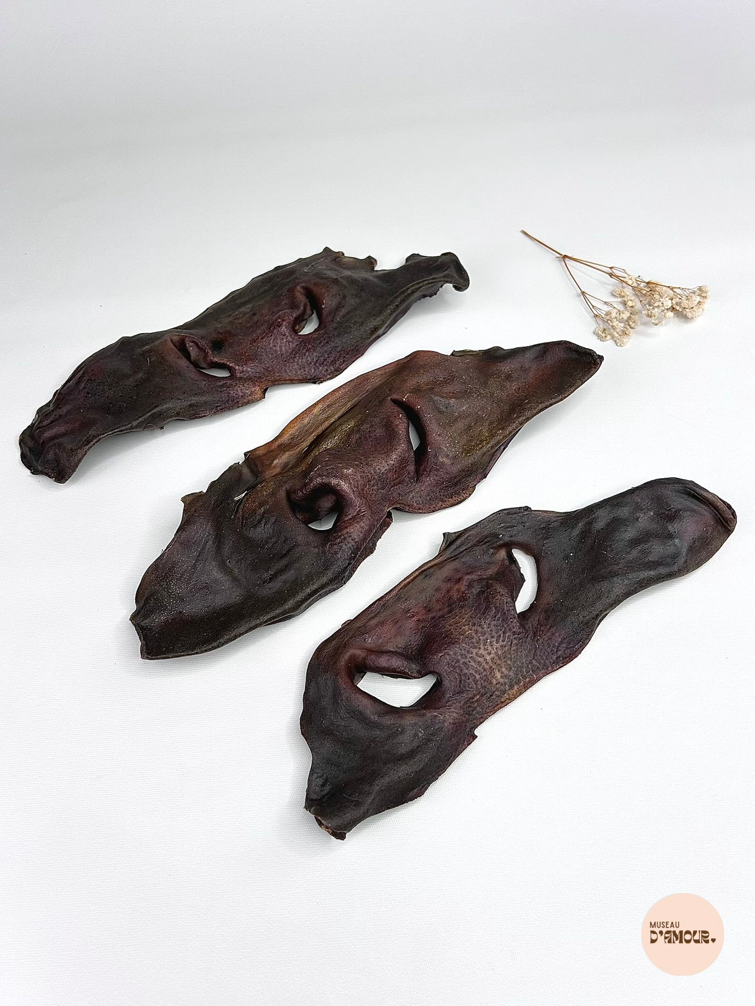 Museau de bœuf - sans poils