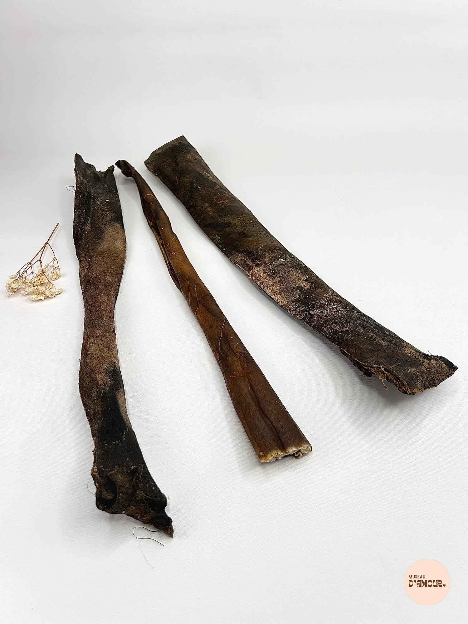 Peau de sanglier 50 cm