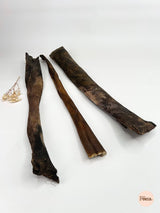 50cm boar hide