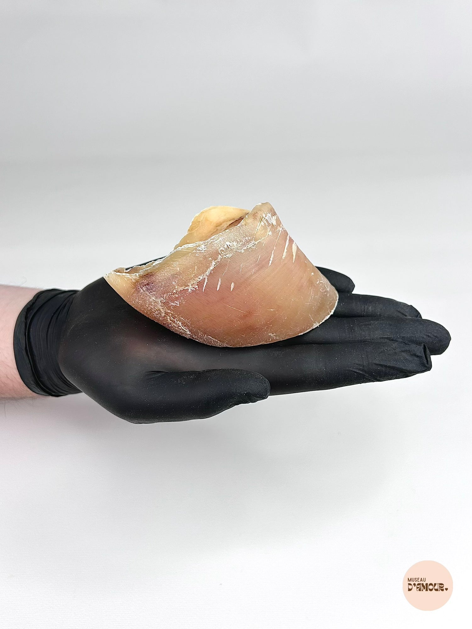 Sabot de veau