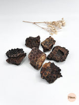 Foie de renne