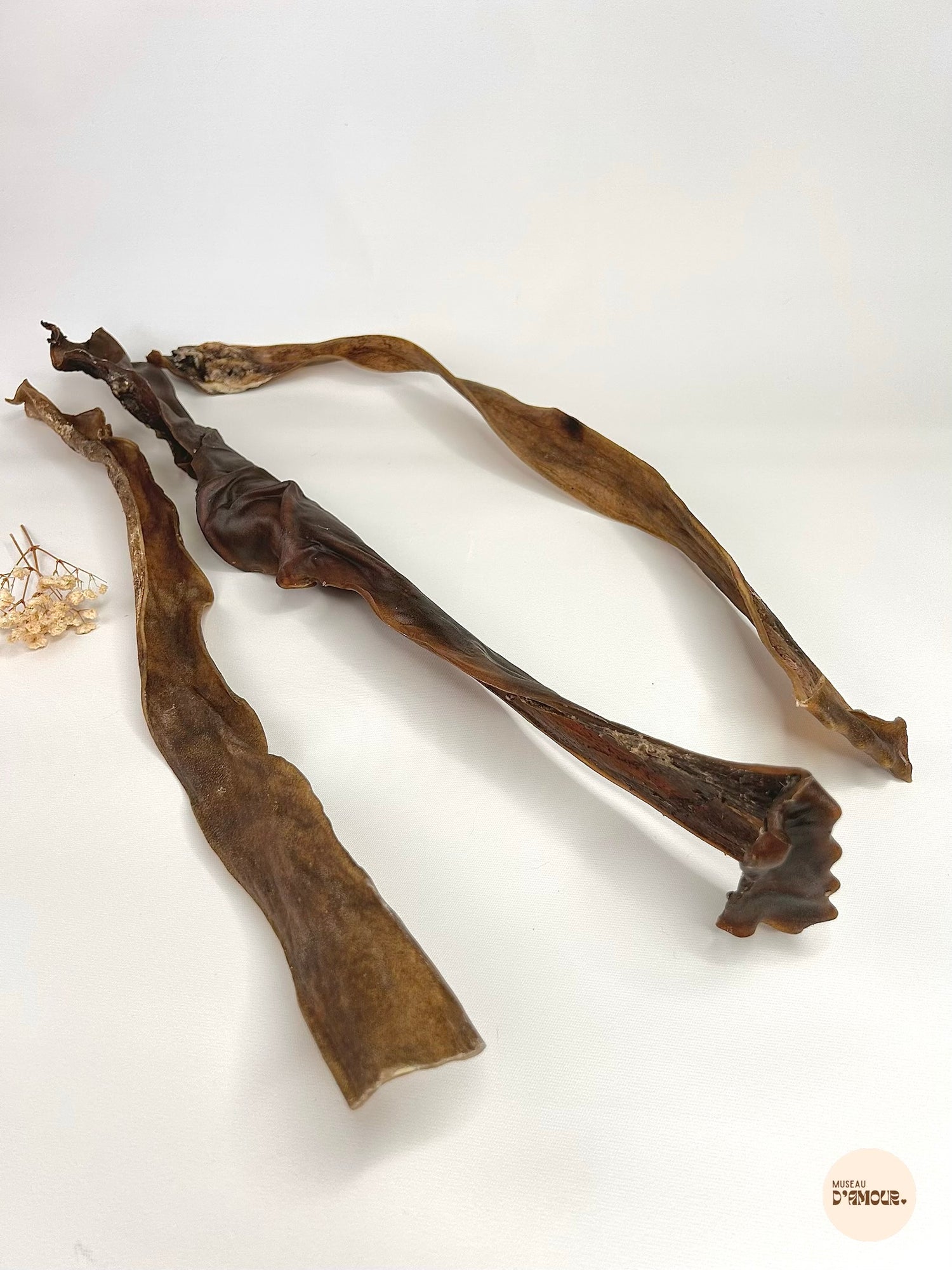 Peau de chevreuil 50-70cm