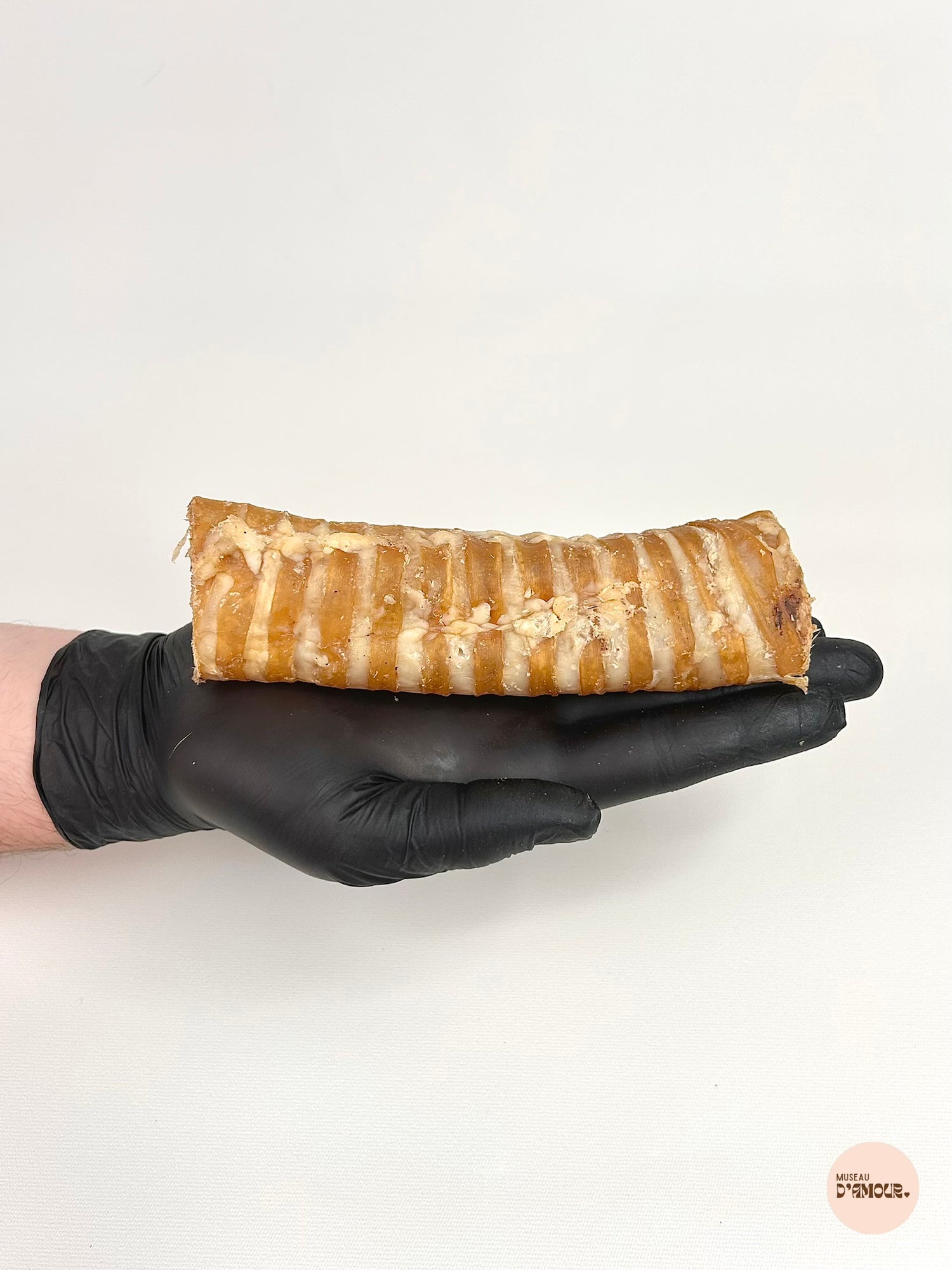 Trachée de boeuf 15 cm