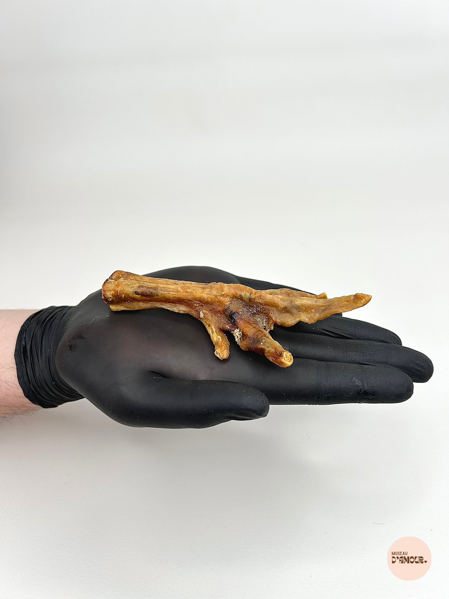 Patte de poulet