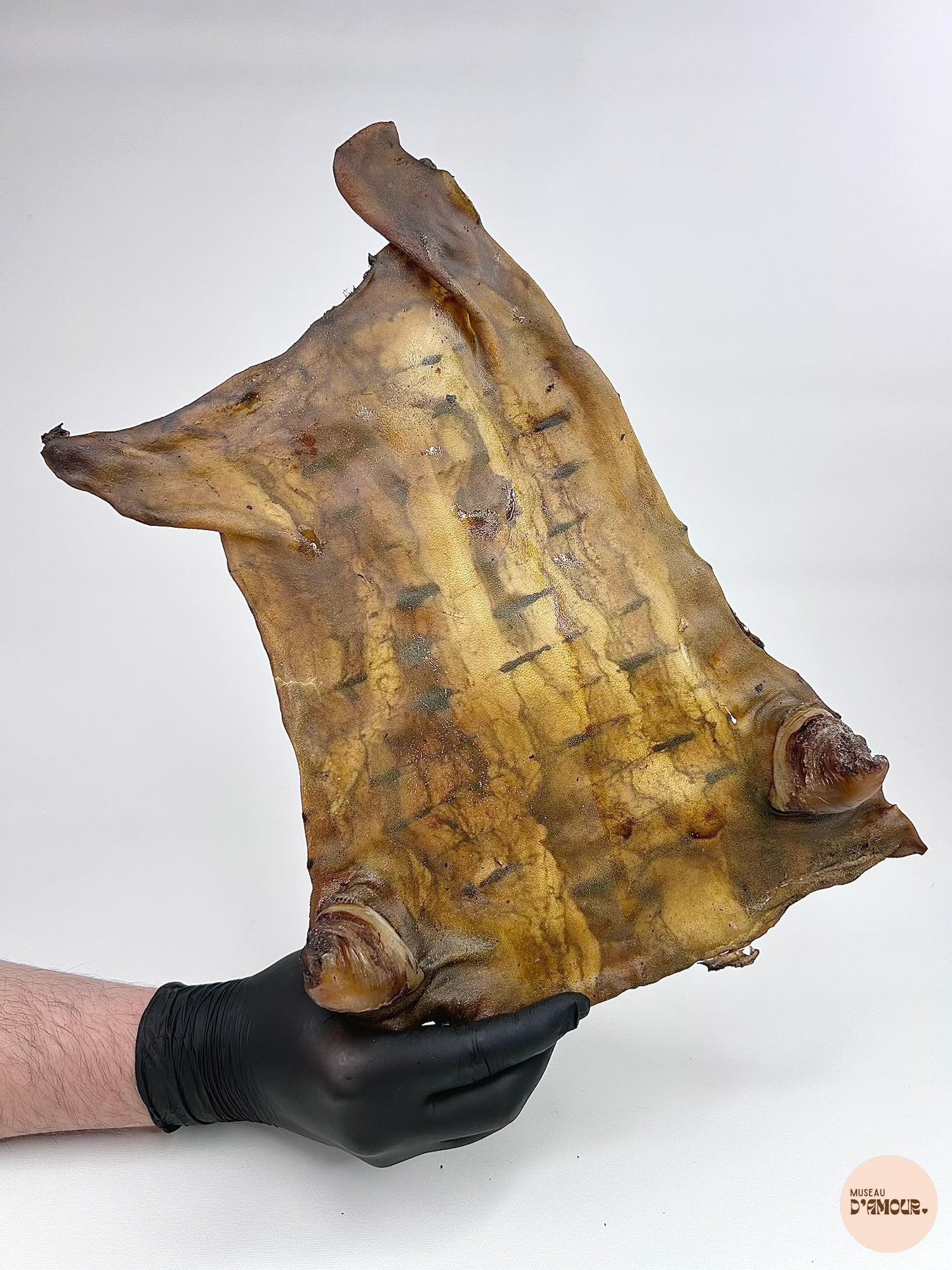 Plaque de peau de boeuf XL avec ergots