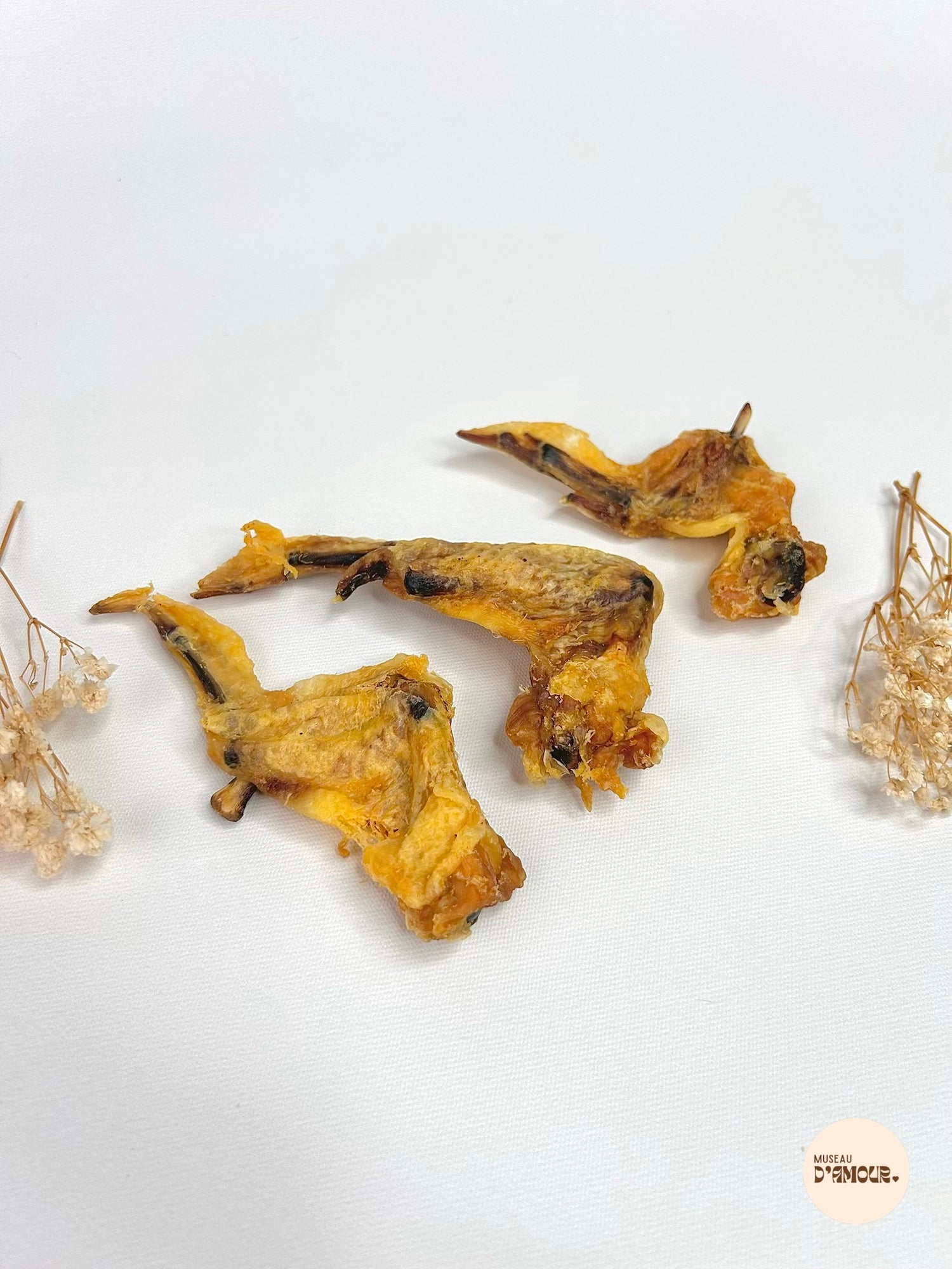Aile de poulet