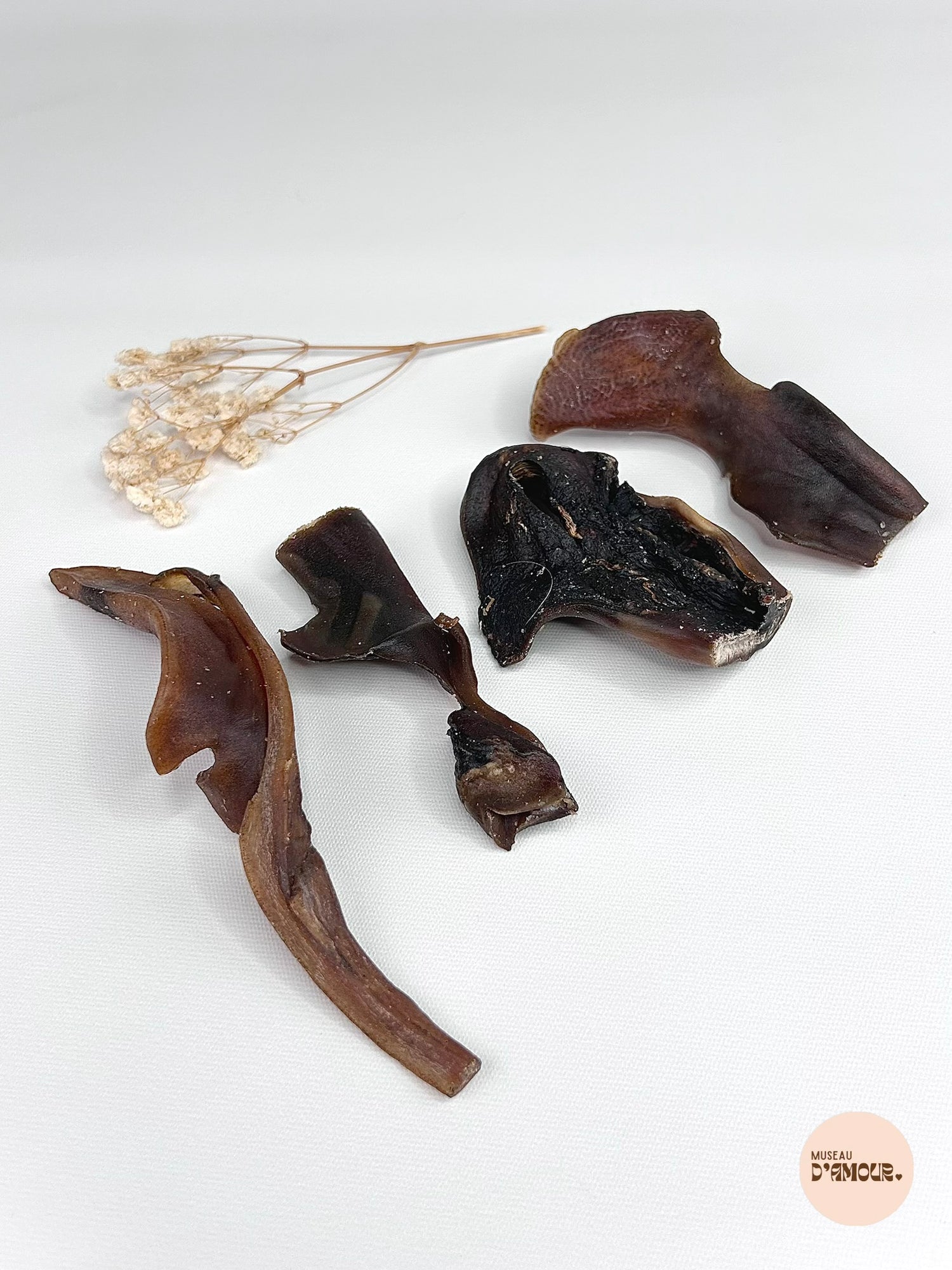 Cuir chevelu de chameau