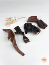 Cuir chevelu de chameau