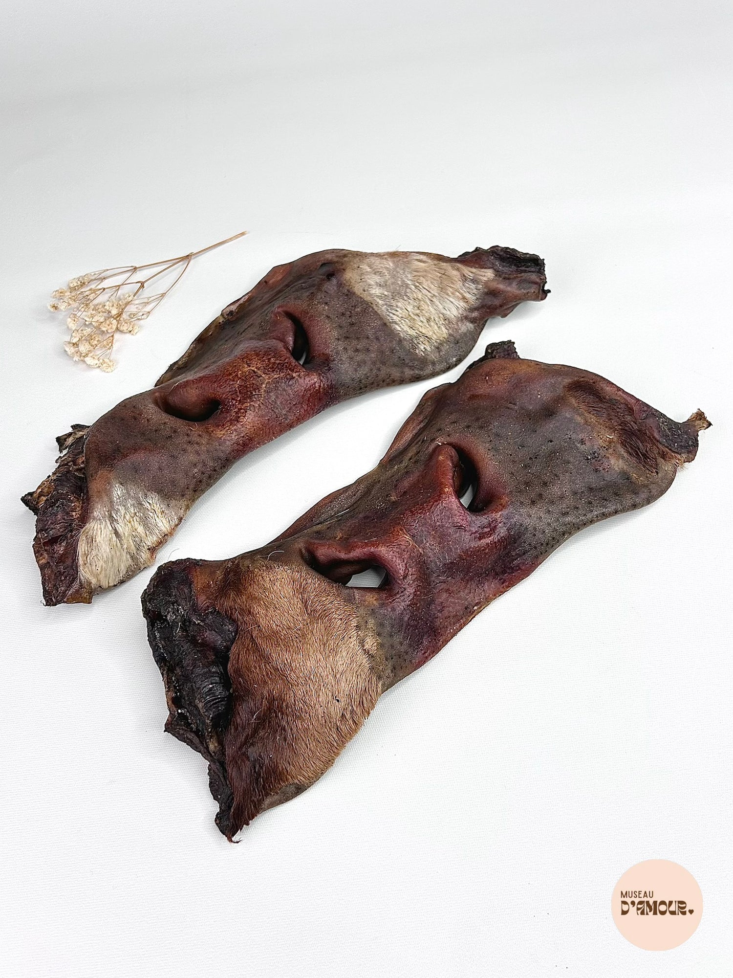 Museau de bœuf - avec poils