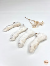 Rabbit's foot (with fur)