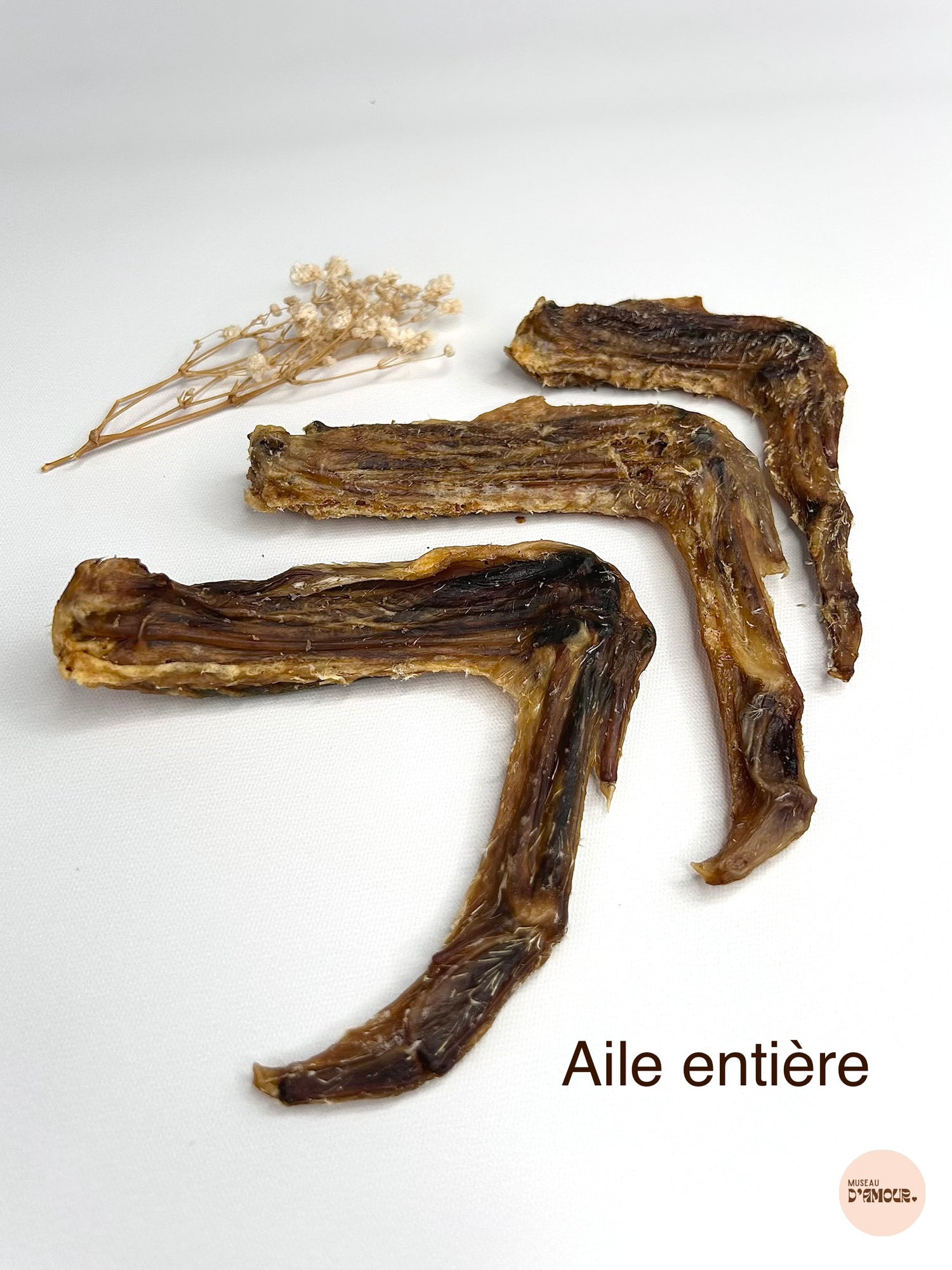 Aile de canard