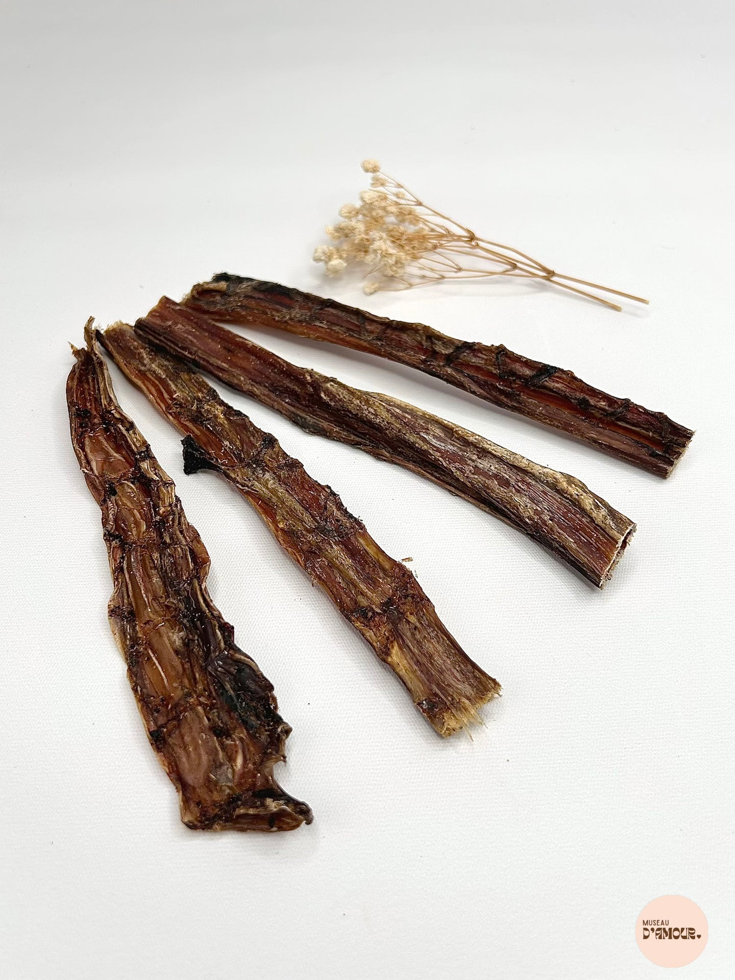 Oesophage d'autruche