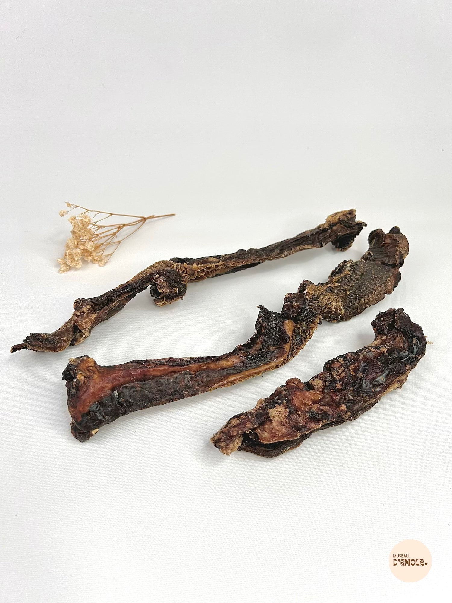 Lèvre de boeuf
