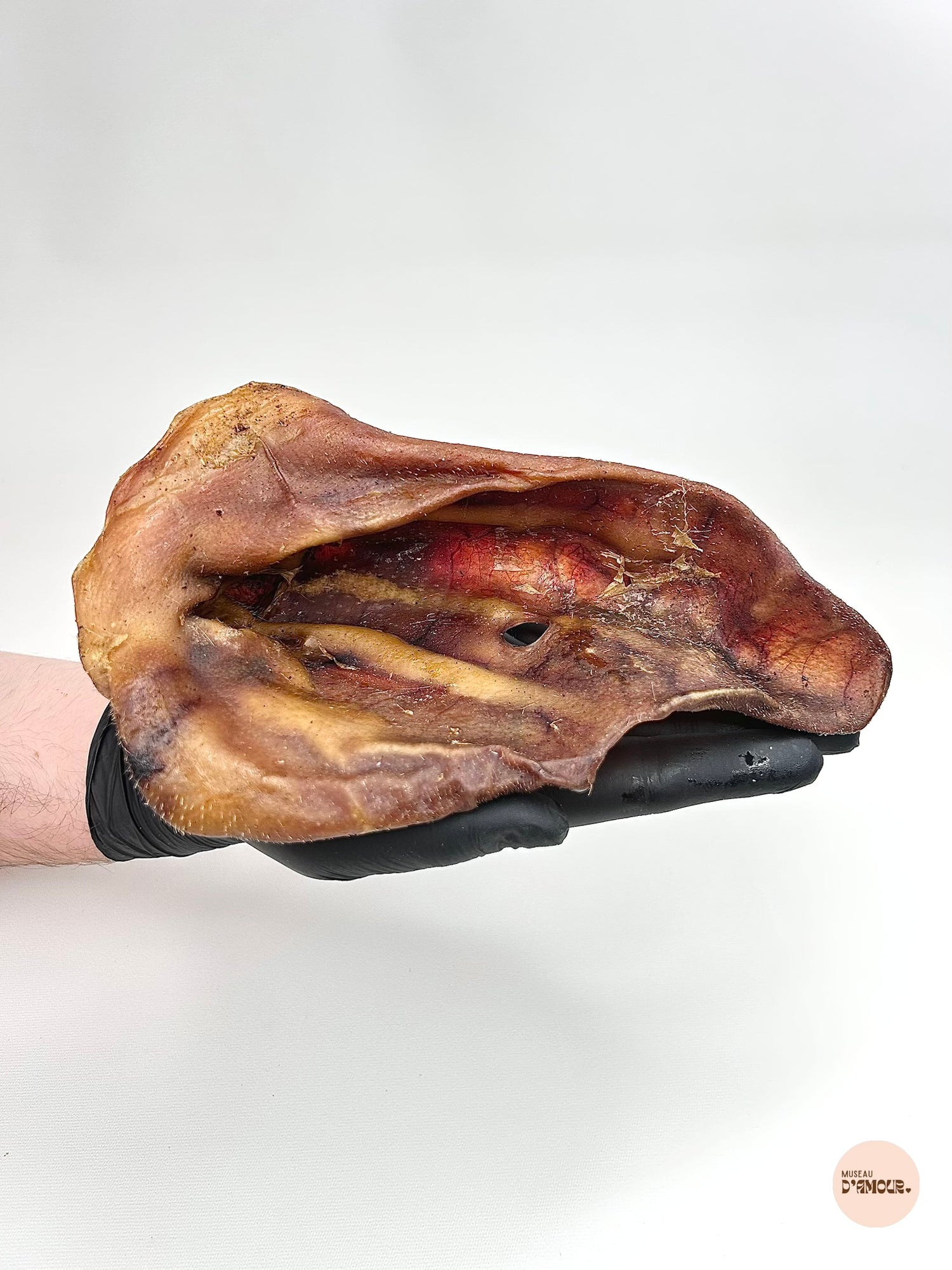 Oreille de porc XL