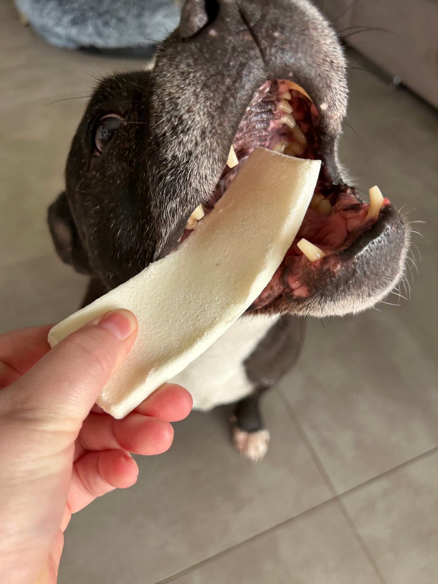 Chips de peau de buffle soufflée