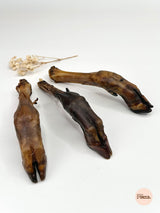 Lamb's foot