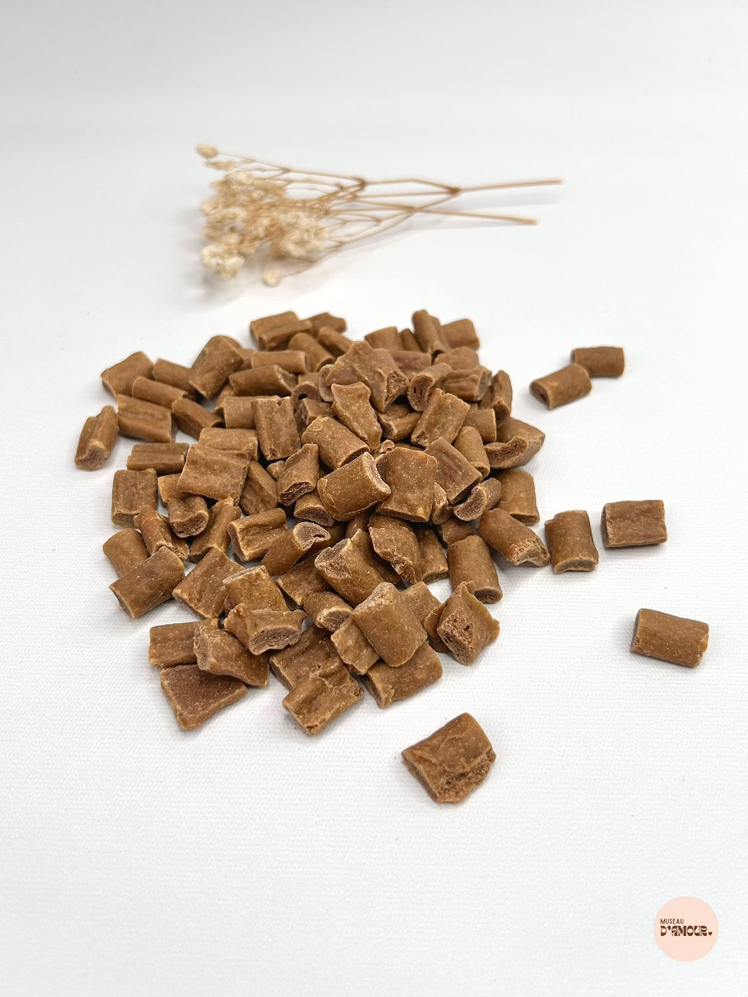 Friandise d'éducation / de récompense