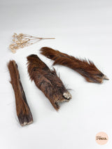 Peau de chevreuil 15 cm - avec poils