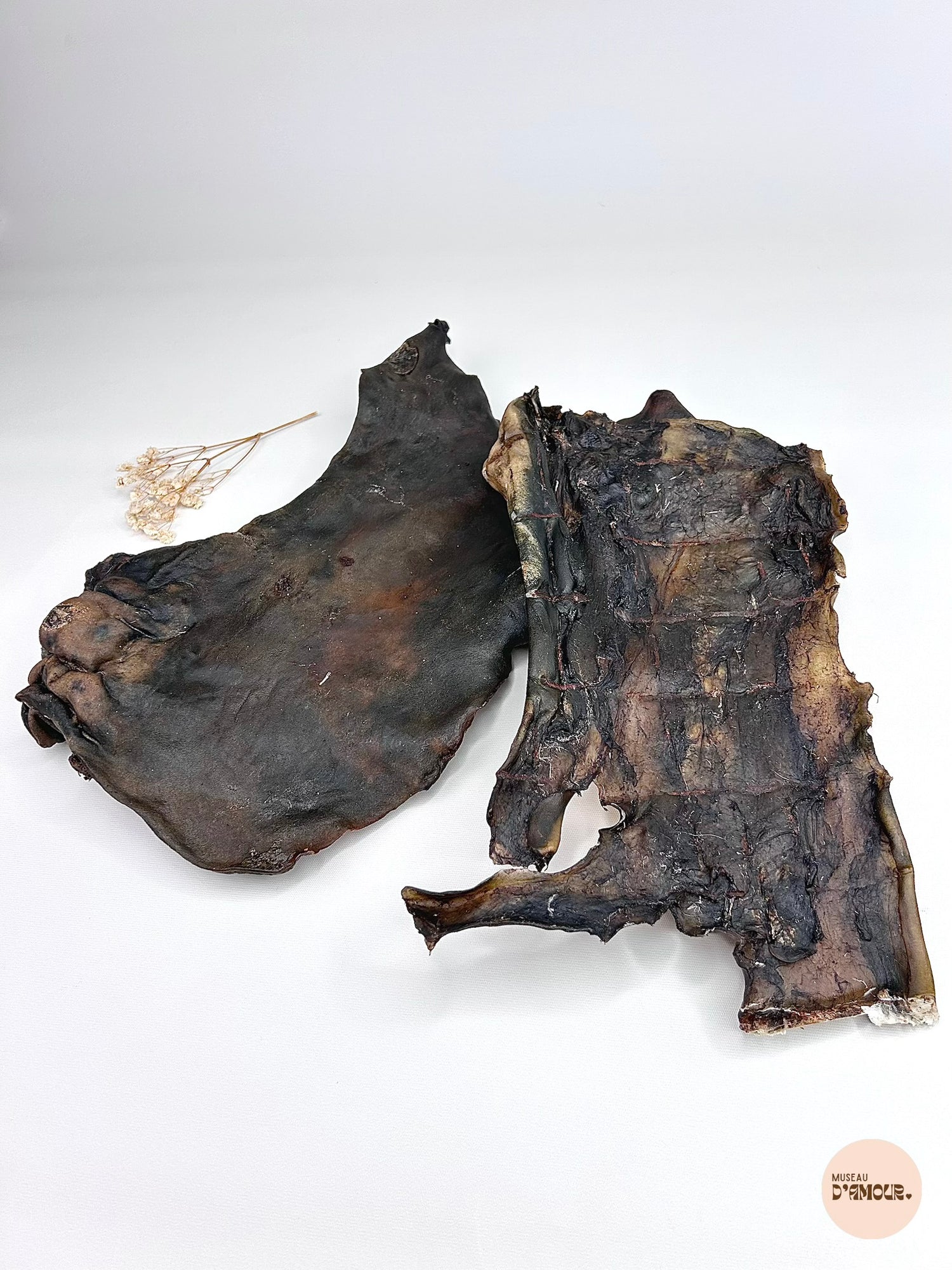 Plaque de peau de cheval XL - sans poils