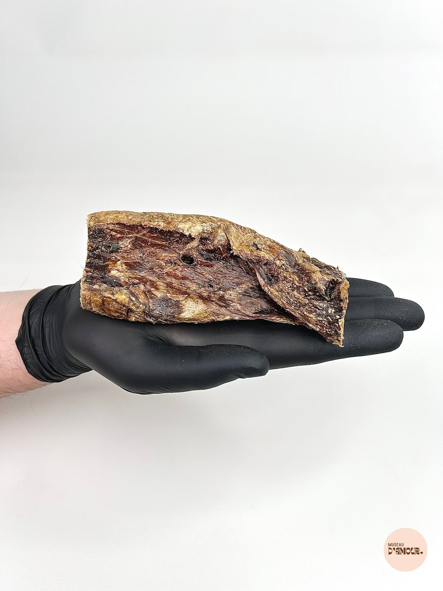 Poumon de bœuf