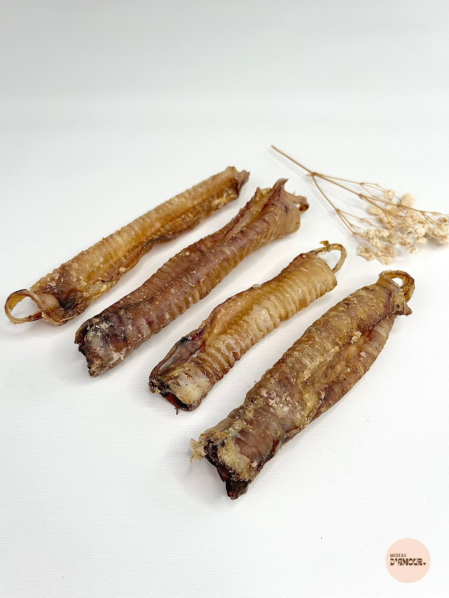 Trachée d'agneau