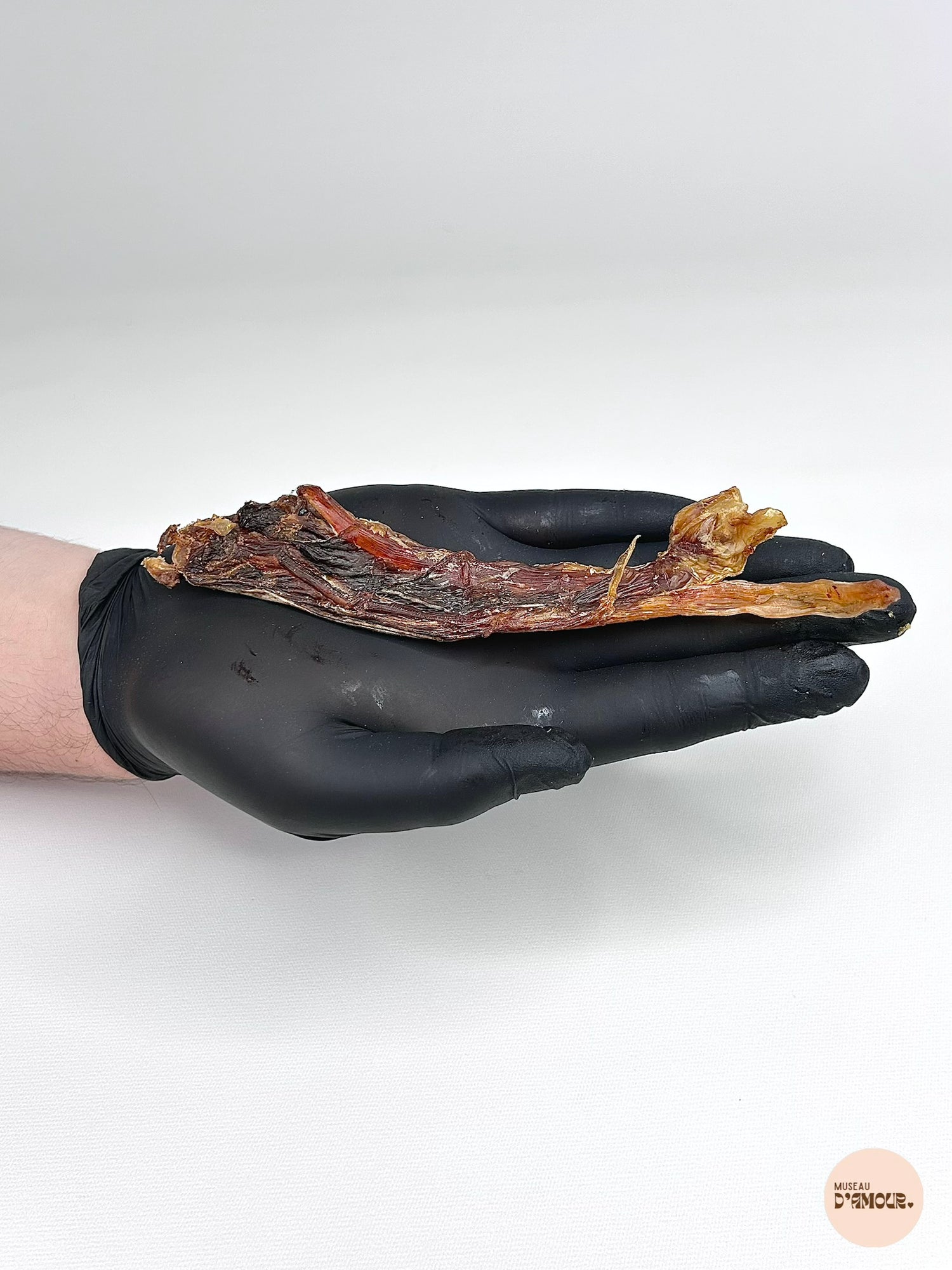Tendon d'autruche