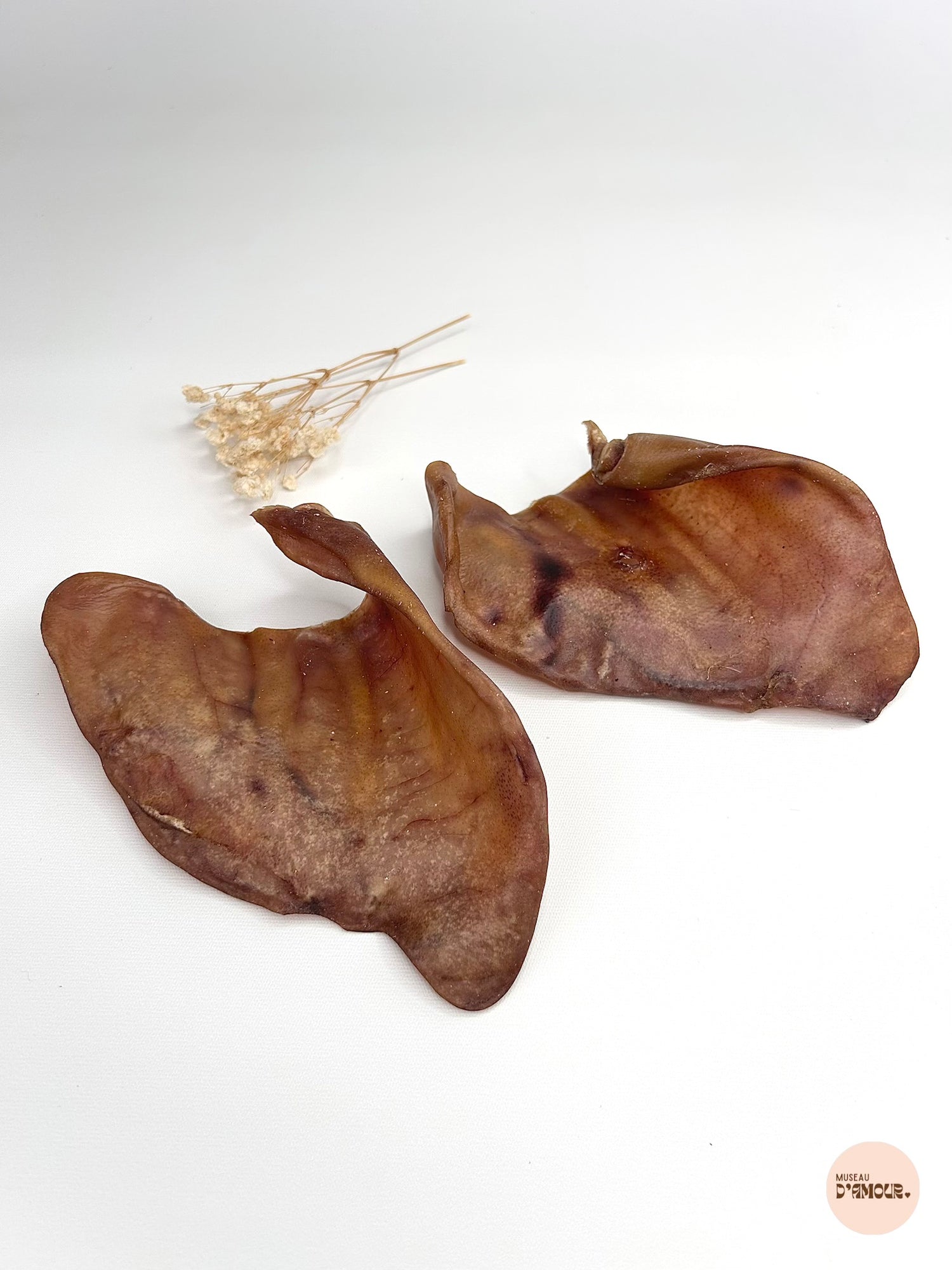 Oreille de porc