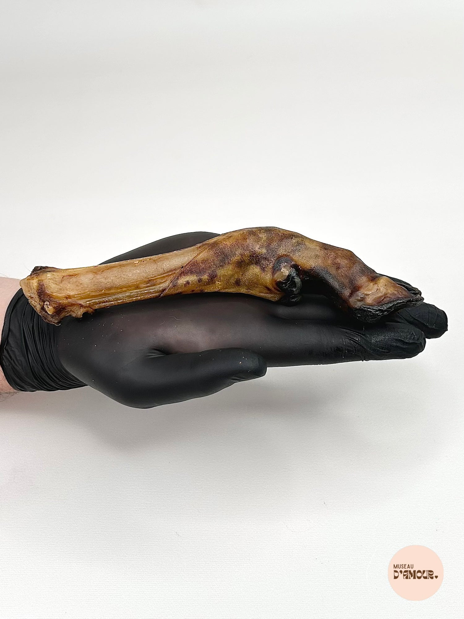 Pied d'agneau