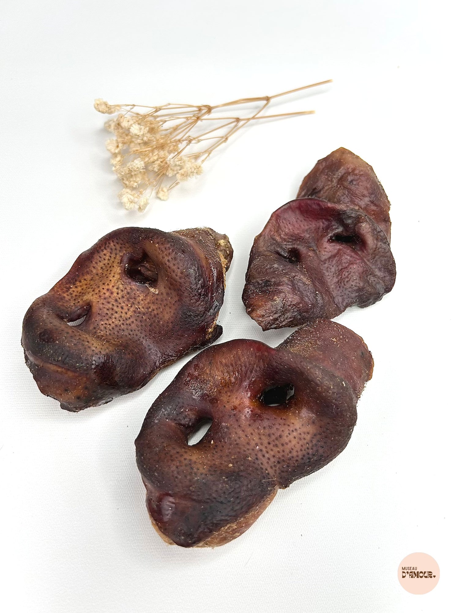 Groin de porc