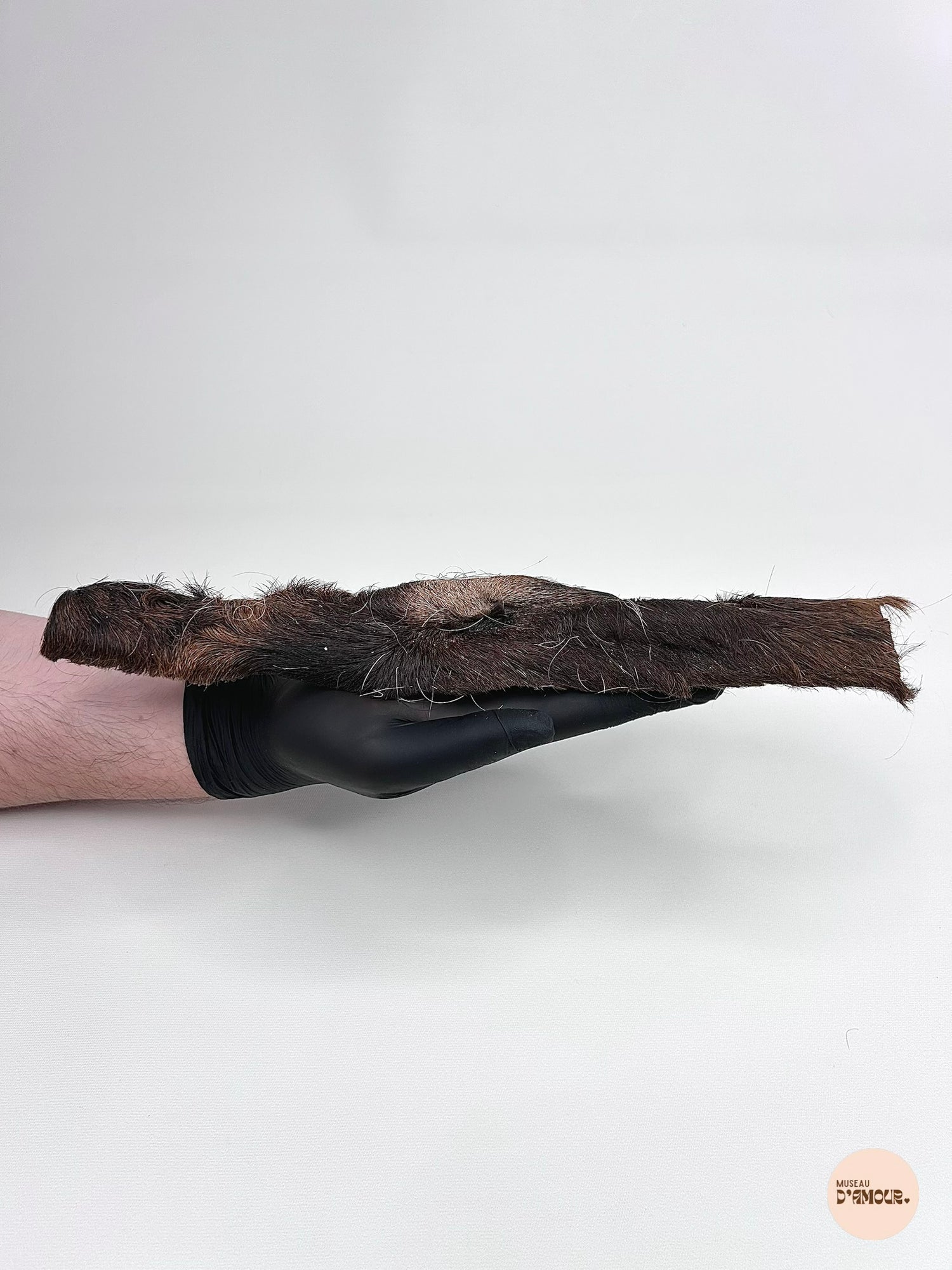 Peau de boeuf 30 cm - avec poils