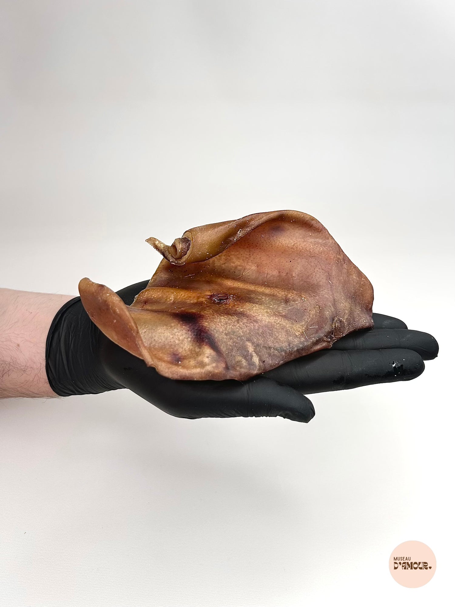 Oreille de porc