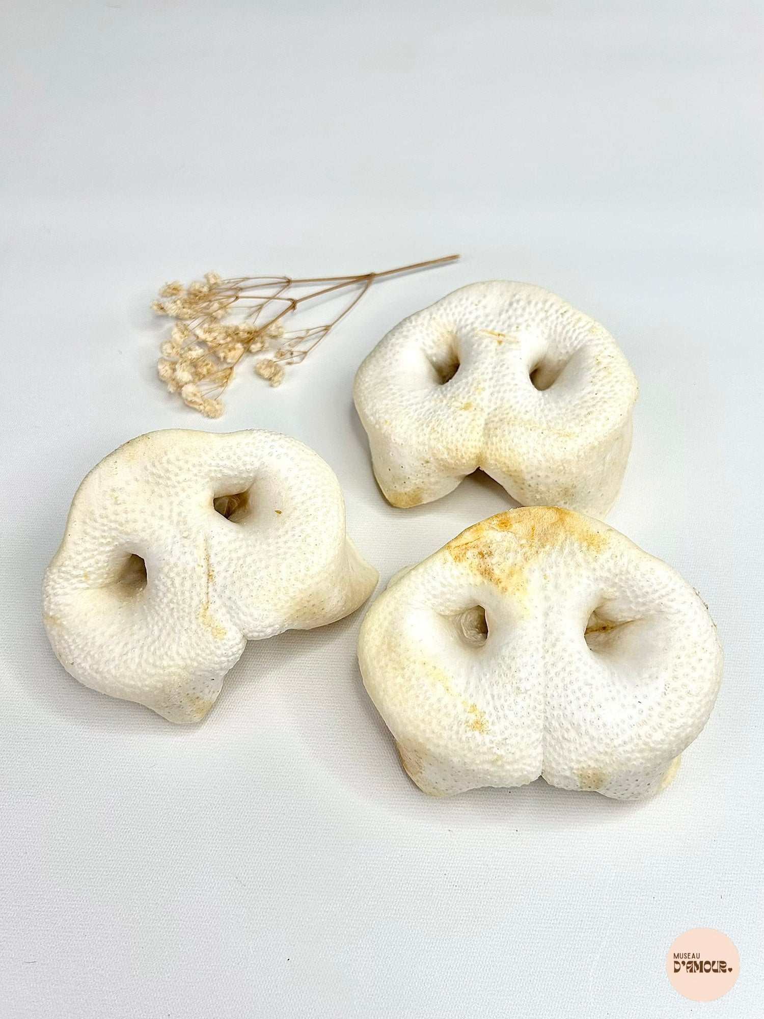 Groin de porc soufflé