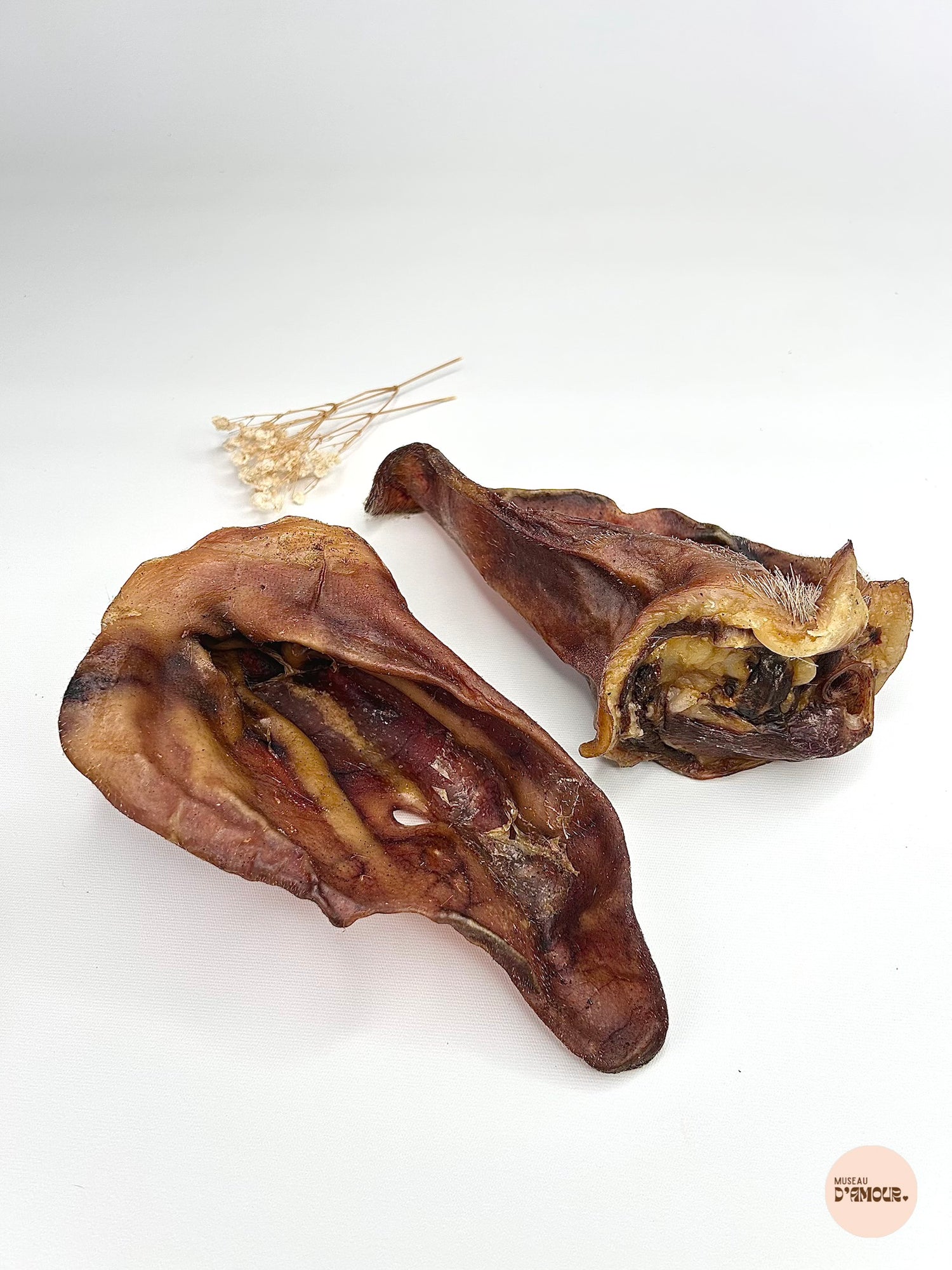 Oreille de porc XL